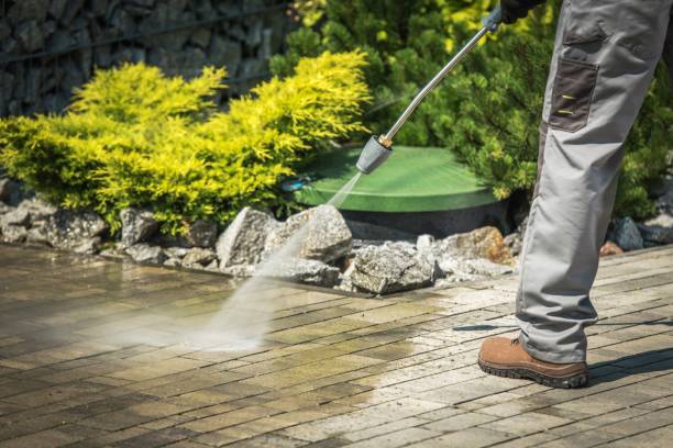 Best Solar Panel Cleaning  in Avalon, PA