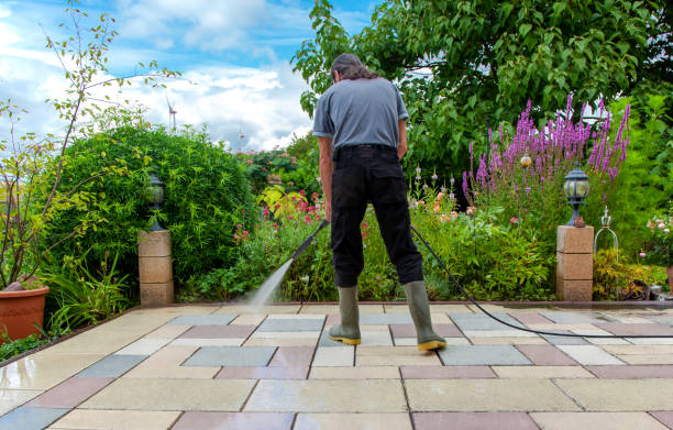 Best Spring Cleaning  in Avalon, PA